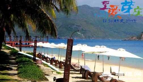 芽庄海洋节的极致玩法-至尊岛[墙根网]