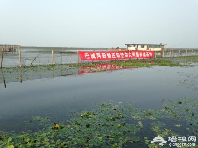阳澄湖除了吃蟹还有这些好玩的，阳澄湖最全攻略[墙根网]