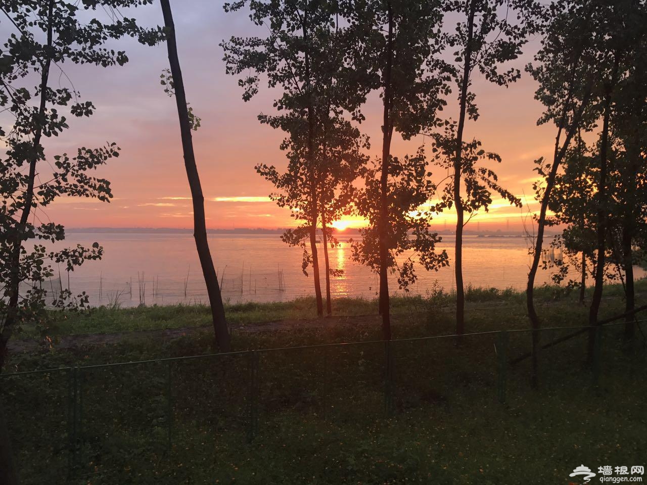 房车自驾助力镇江旅游文化从金山湖驶向全国[墙根网]