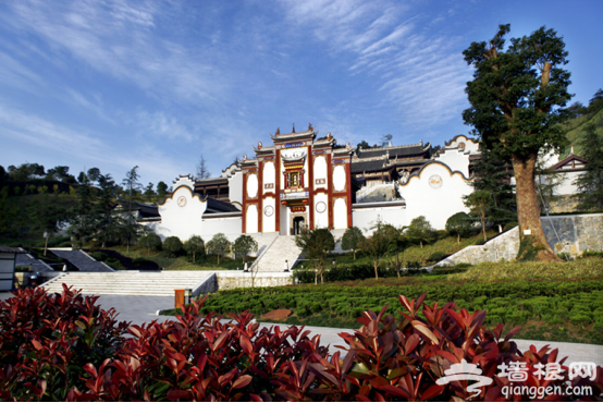 走进楚韵悠长的屈圣故里