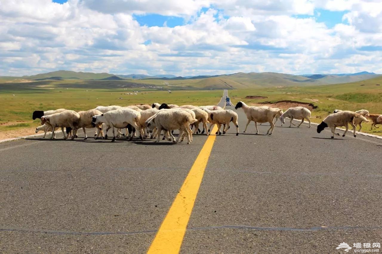 自驾内蒙古最美公路，热阿线+达达线跨越无边贡格尔大草原[墙根网]