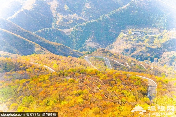 京郊游玩大全火热出炉！有吃有玩，抓住夏天的尾巴赶紧去！[墙根网]