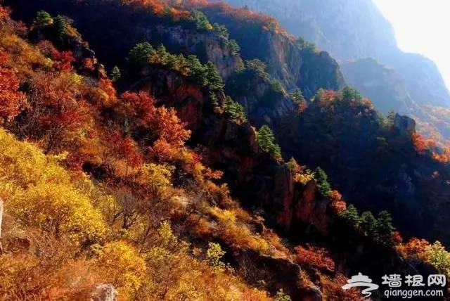秋日的北京哪里最美？这么近却这么美得地方太少人知道了[墙根网]