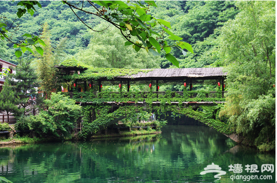 溯千年丹江水道 访神秘金丝奇峡[墙根网]