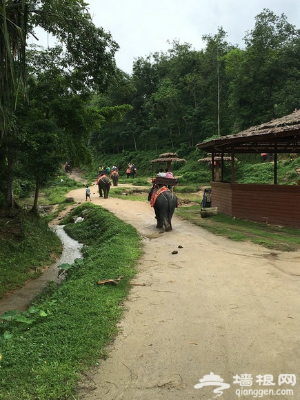 带着翻译神器魔脑神笔去新马泰之游记篇[墙根网]