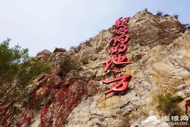 北京最不挤的一个百花山红叶观赏路线，1天刷完，绝不堵车[墙根网]