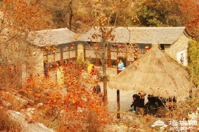 北京周边醉美秋景攻略；不扎堆，景色美[墙根网]