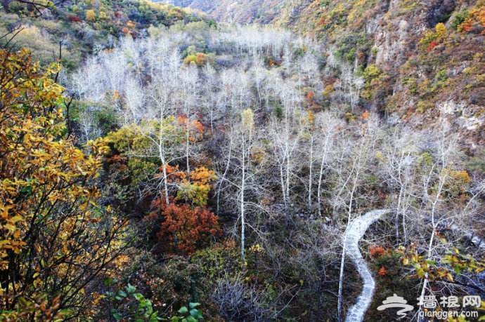2019京津冀旅游一卡通正式发售，99元玩转261家景区！[墙根网]