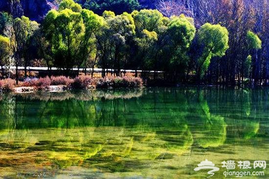 2019京津冀旅游一卡通正式发售，99元玩转261家景区！[墙根网]