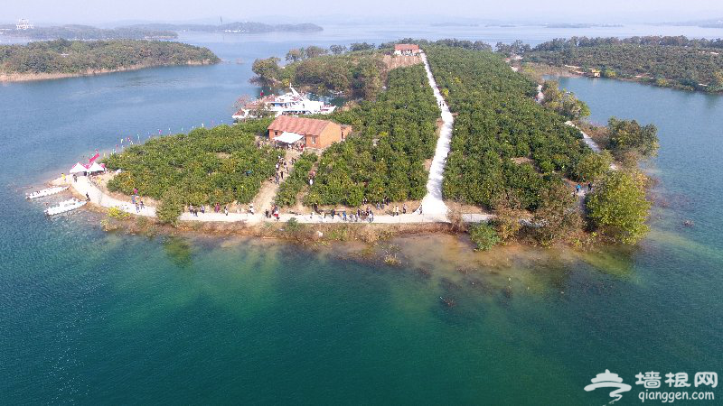 “醉美金秋 飞享荆门”百车自驾之旅[墙根网]