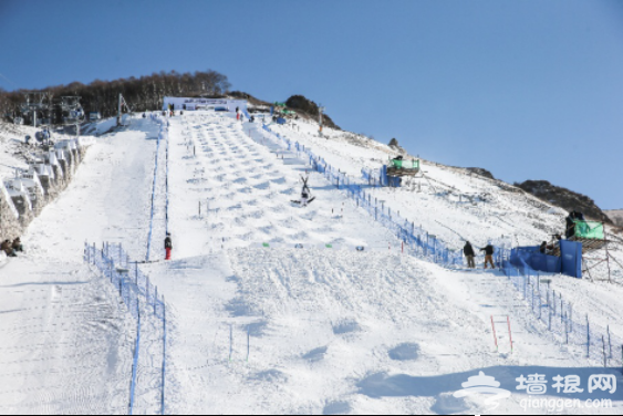崇礼太舞滑雪小镇助力国际雪联自由式滑雪雪上技巧世界杯圆满举行[墙根网]