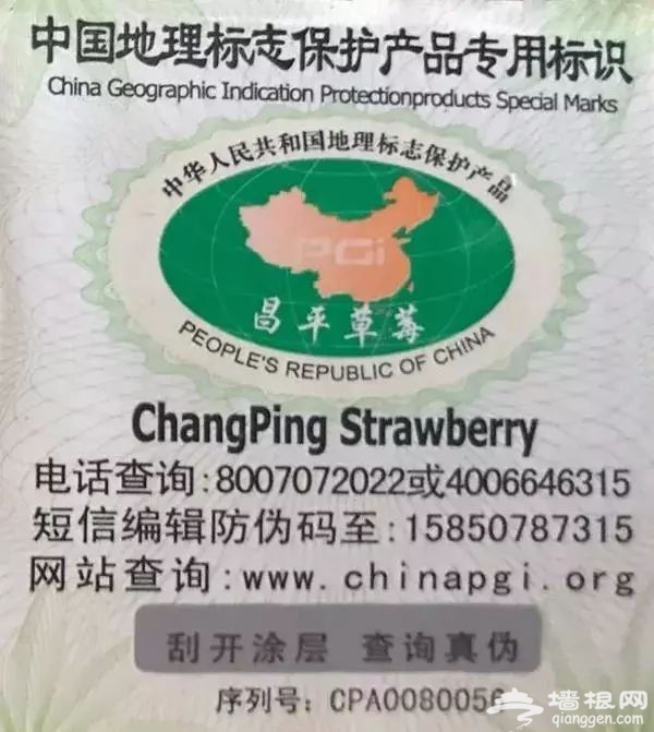 ��b���v+�v+݊�۲�۲�݊�b�]��_y�M���)��)�دn�݊�݊�b�v�v��b�د�~��n{ێv+ۯ�b��b�د��)��)�دv+�߽z�w�i۲�۲�݊���د�دv+�n�gn�v+݊�w�]6ۿ;��b���v+�v+݊�݊�b�^z�N�Ӯ{�دn�݊�݊�b�v��b�دן}��t�v+ۯ�b��ky