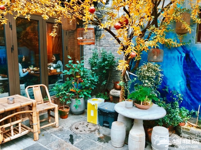庭院里的美味 京城最有人气的四合院餐厅[墙根网]
