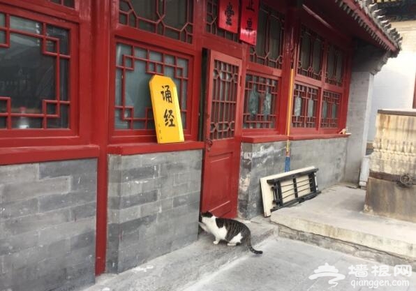 2018春节祈福去哪?据说这些庙宇最灵验[墙根网]