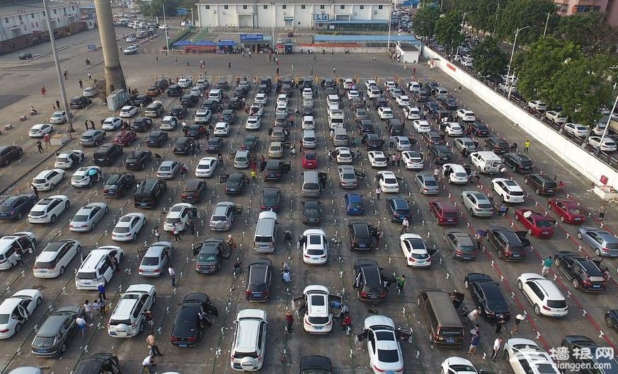 海南离岛“天价机票”最高近2万，仍一票难求！海口今天继续放假[墙根网]