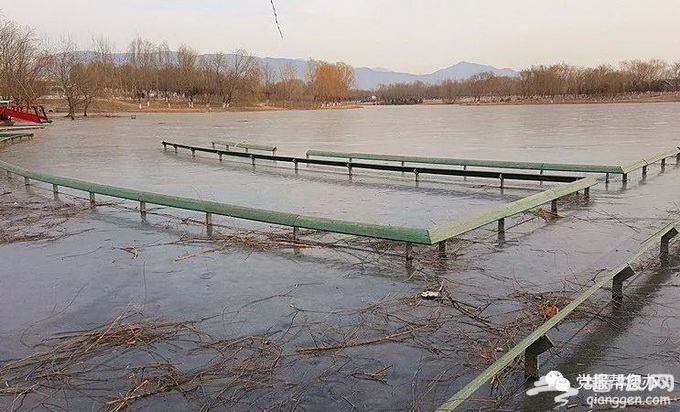 北京昌平新城滨河森林公园成“冰河世界” 苦了树木和建筑[墙根网]