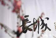 北京响水湖第三届长城梅花展 3月3日盛装开幕