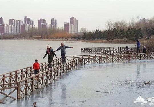 北京昌平新城滨河森林公园成“冰河世界” 苦了树木和建筑