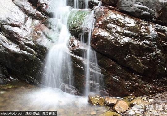 阳春3月，京城这些景点即将开放！