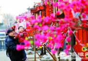 北京什刹海灯谜融入冬奥元素
