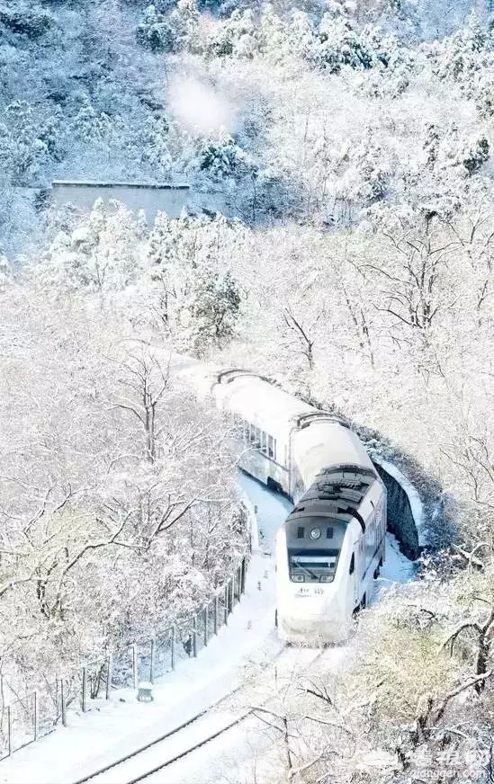 别去日本了！北京这趟6元小火车，带你穿越绝美樱花！沿途风景惊艳到哭！[墙根网]