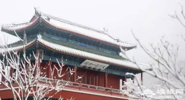 别去日本了！北京这趟6元小火车，带你穿越绝美樱花！沿途风景惊艳到哭！[墙根网]