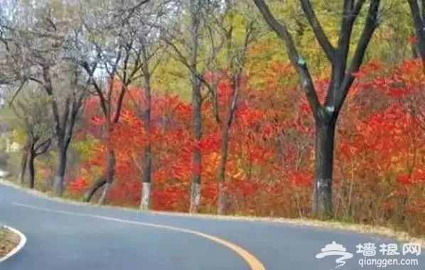 北京有10条最美的乡村公路，春天来了，自驾去郊游吧~[墙根网]