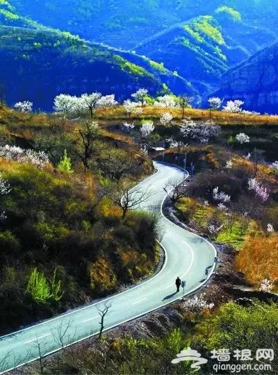 北京有10条最美的乡村公路，春天来了，自驾去郊游吧~[墙根网]