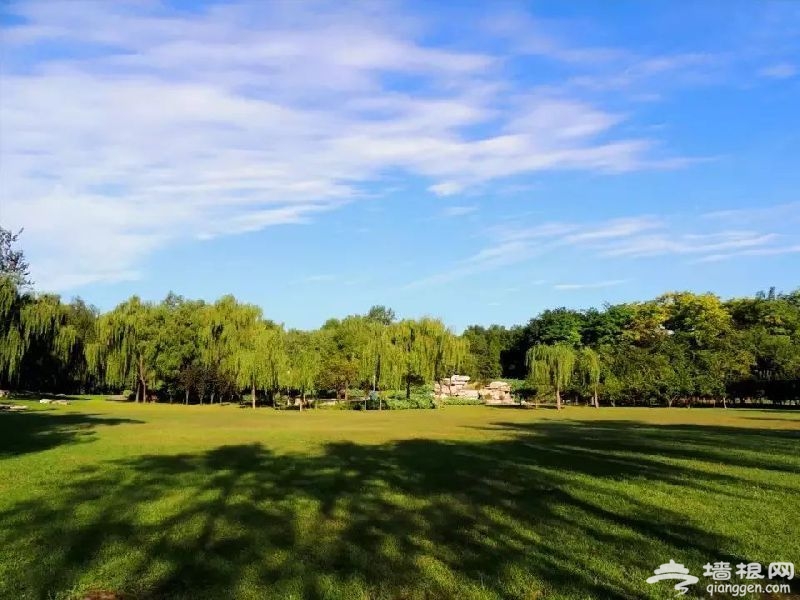 北京春游去哪里踏青爬山烧烤赏花好去处