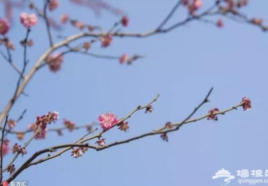 北京周边竟藏了一处“人间仙谷”，看上一眼你就会爱上她！