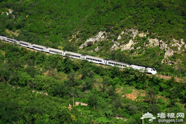 开往春天的列车 北京出发六元赏尽春花美景[墙根网]