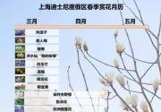 满园春色关不住！迪士尼春季赏花攻略新鲜出炉