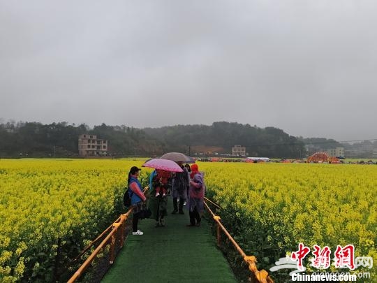 金色通道。　王昊昊 摄