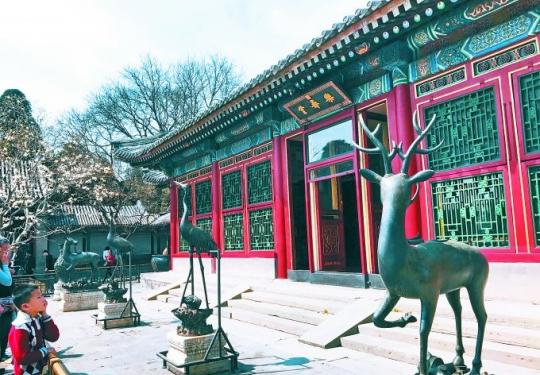 玉兰因何被称“望春花”？北京这三处景点的玉兰最有名