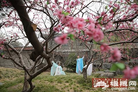 清明节游客可到北京大观园观赏“黛玉葬花”[墙根网]