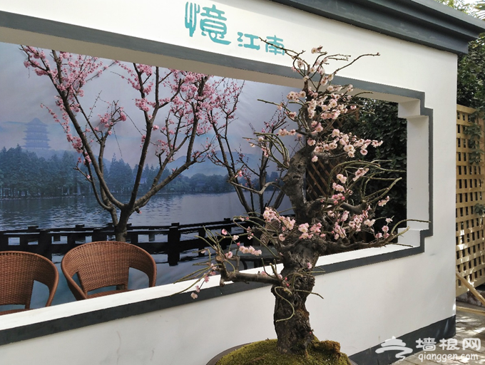 感受春天气息 京津冀3.6万人次燕郊植物园观赏梅花[墙根网]
