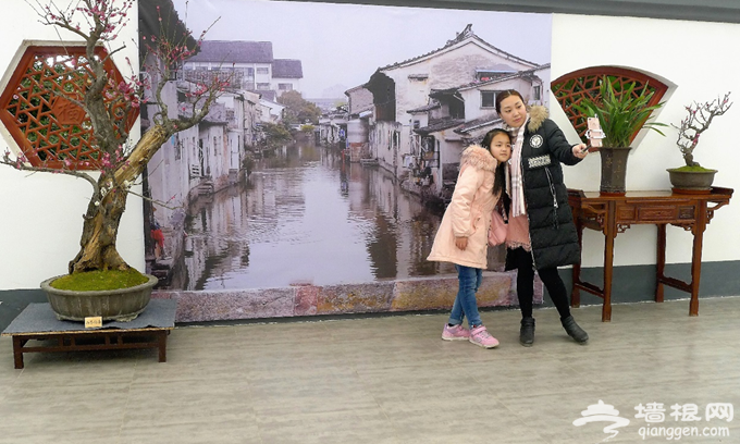 感受春天气息 京津冀3.6万人次燕郊植物园观赏梅花[墙根网]