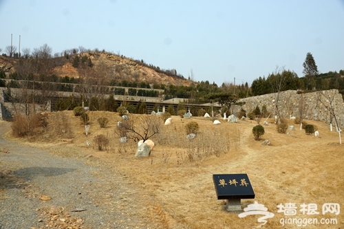 北京门头沟浅山墓地变生态“公园” 远观“不见碑只见绿”[墙根网]