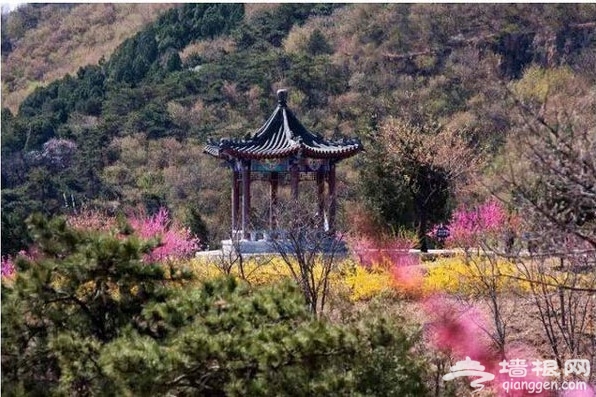 北京市旅游委推出15条“清明红色游”主题线路[墙根网]