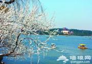 颐和园西堤山桃花盛开 众多游客踏春赏花