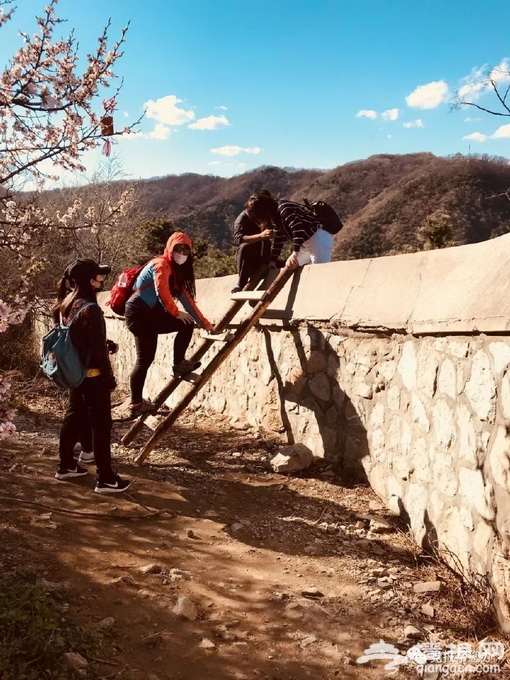 北京香山公园门口黑车黑导游猖獗 带游客爬梯翻墙逃票[墙根网]