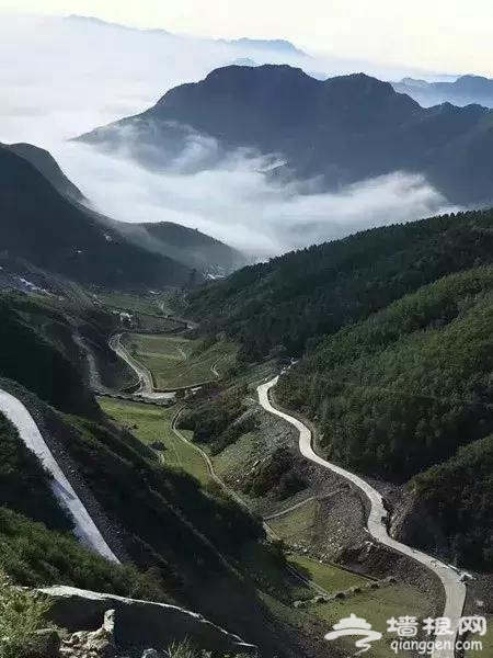 这个即将开园的郊野“秘谷”，一不小心就惊艳了全北京！[墙根网]