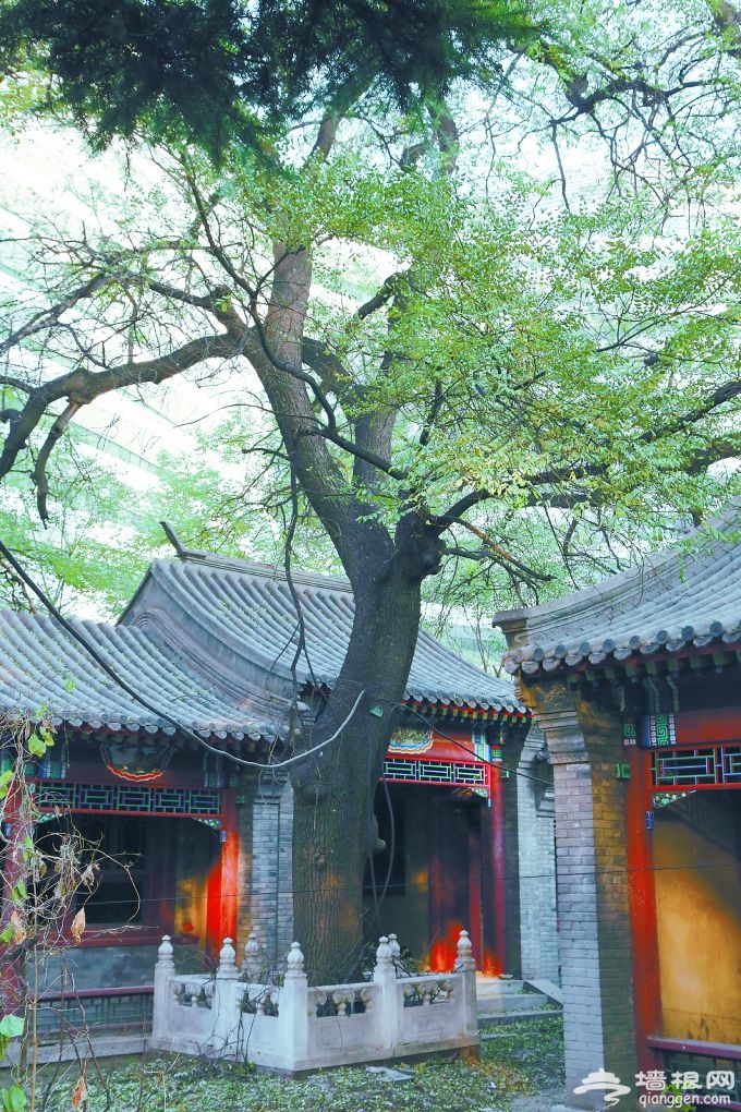 曾是晚清旧宅园现在却略显破落 北京莲园经历了什么？[墙根网]