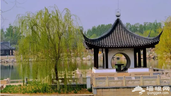 免门票！京郊“江南水城”颜值逆天！[墙根网]