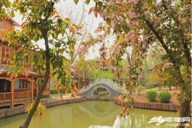 免门票！京郊“江南水城”颜值逆天！[墙根网]