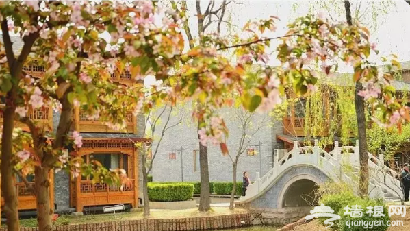 免门票！京郊“江南水城”颜值逆天！[墙根网]