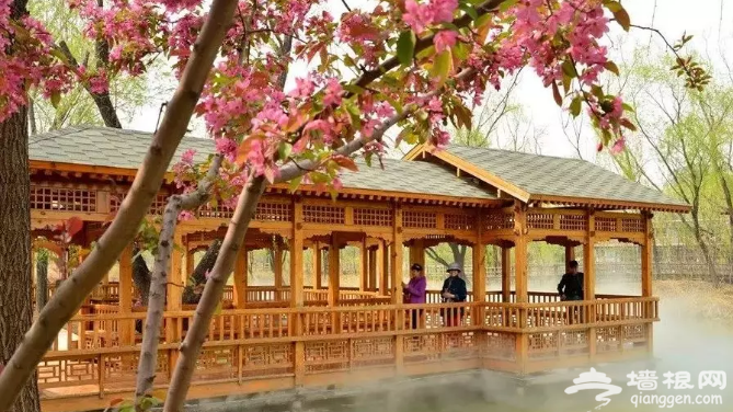 免门票！京郊“江南水城”颜值逆天！[墙根网]