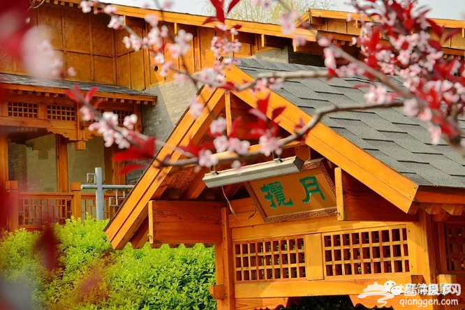 免门票！京郊“江南水城”颜值逆天！[墙根网]