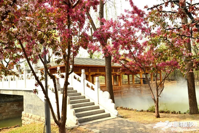 免门票！京郊“江南水城”颜值逆天！[墙根网]