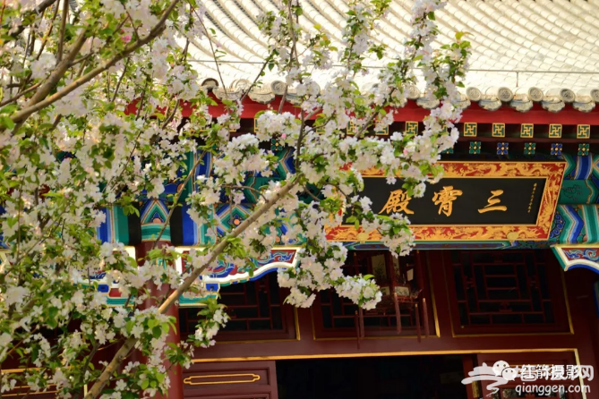免门票！京郊“江南水城”颜值逆天！[墙根网]